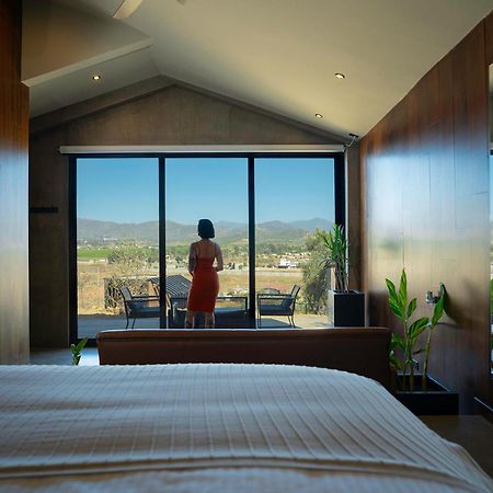 Bajo Estrellas Hotel Contemporaneo Valle de Guadalupe Exteriör bild