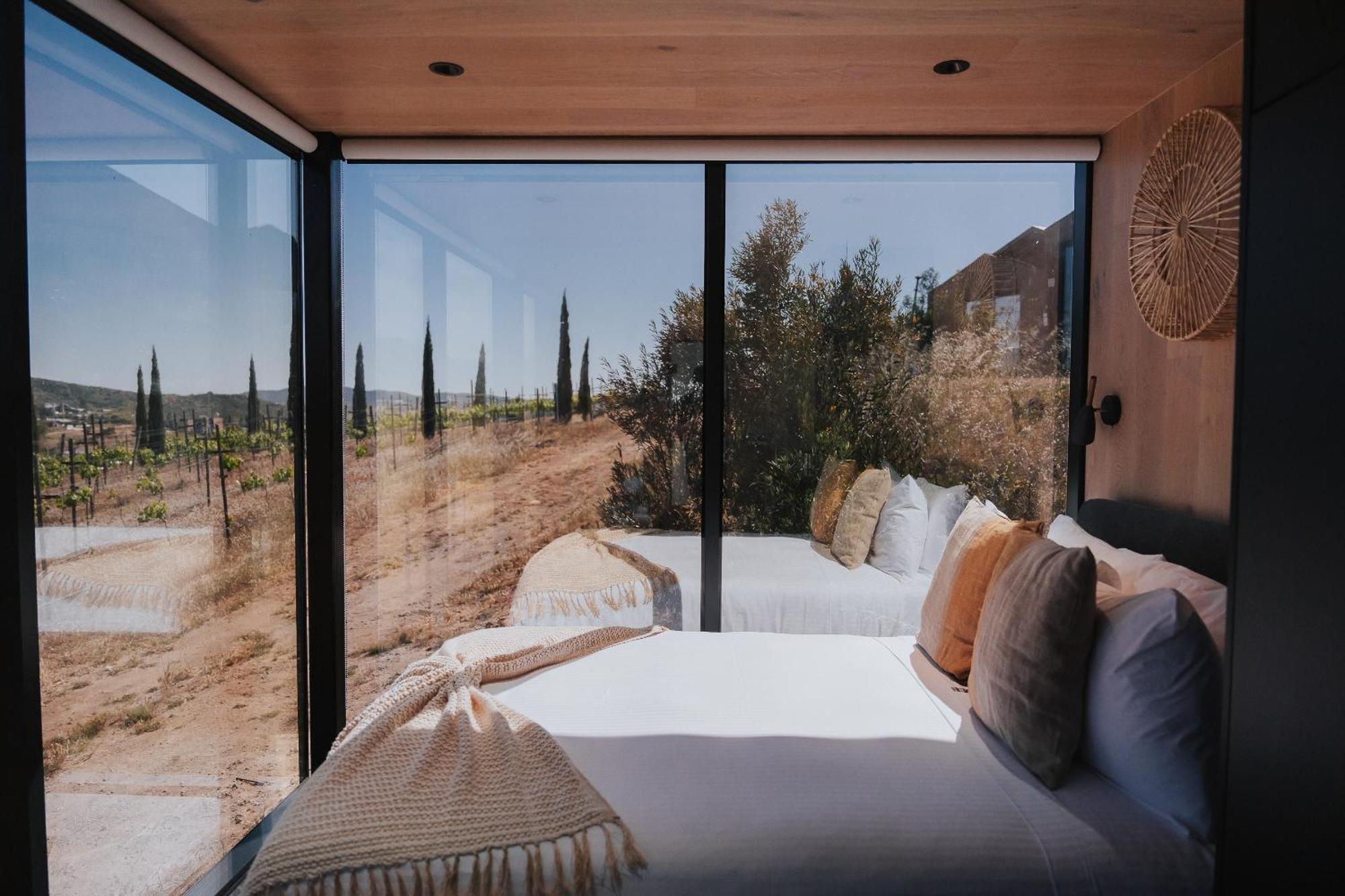 Bajo Estrellas Hotel Contemporaneo Valle de Guadalupe Exteriör bild