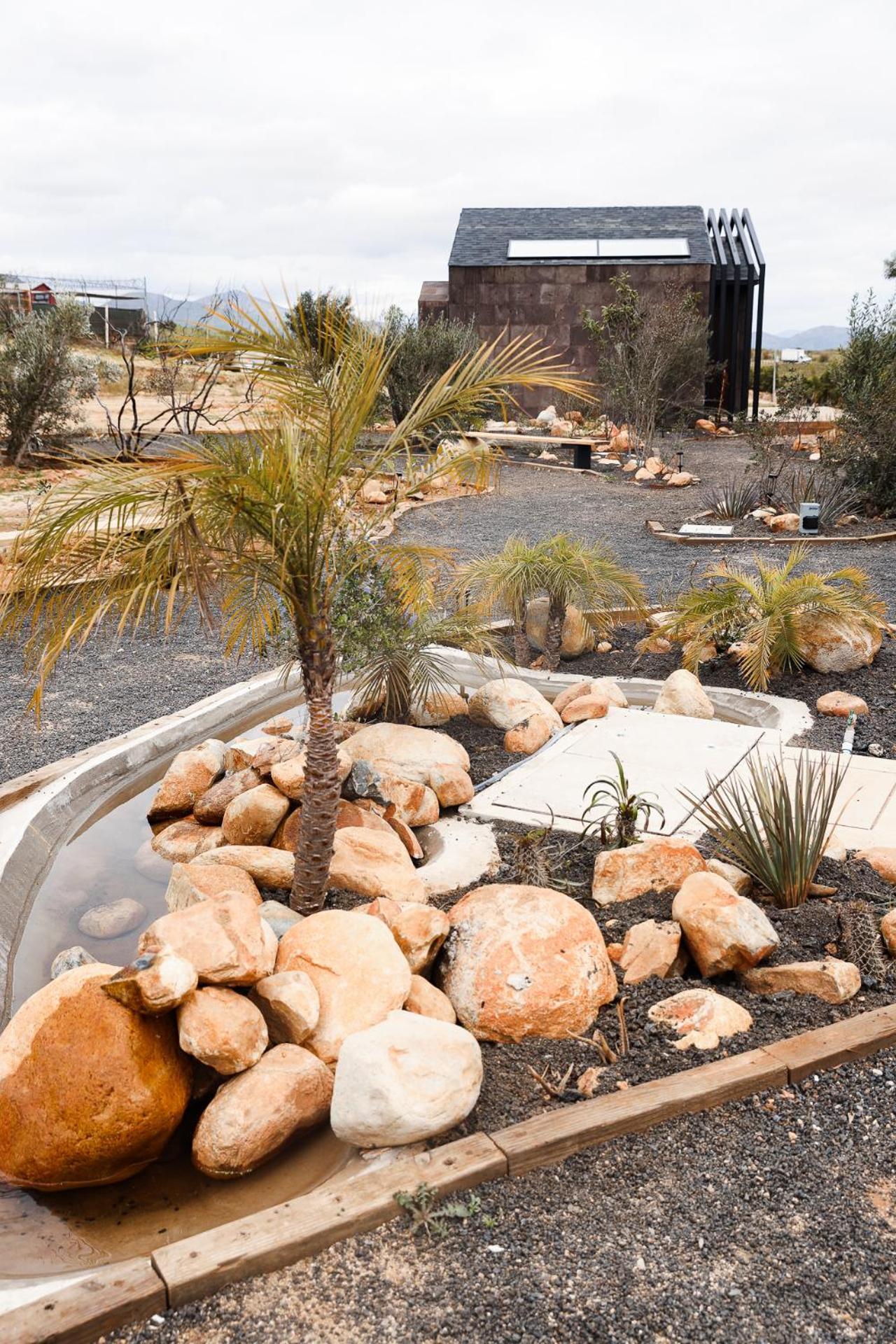 Bajo Estrellas Hotel Contemporaneo Valle de Guadalupe Exteriör bild